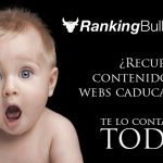 Recuperar Contenios con Expired Article Hunter