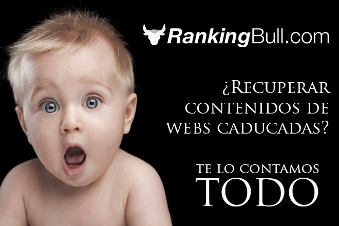 Recuperar Contenios con Expired Article Hunter