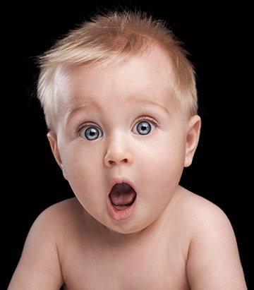 RankingBull Suscripción